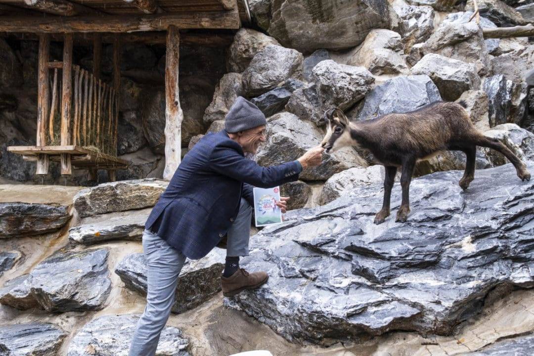 Die 12 Tiroler Bewegung von den Tieren lernen