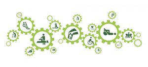 Arthrose Therapie und Prähabilitation